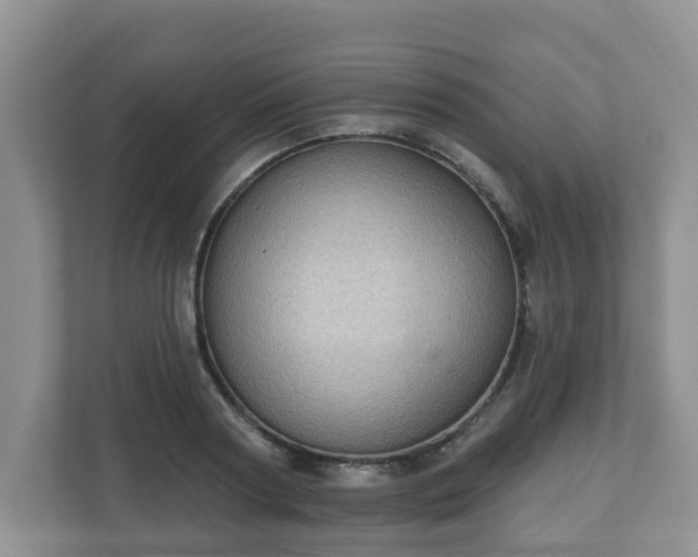 X0000111040794200907021557