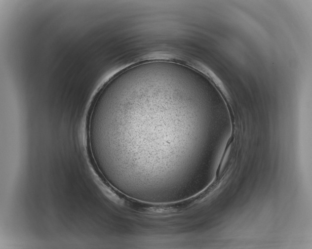 X0000111040795200907021557