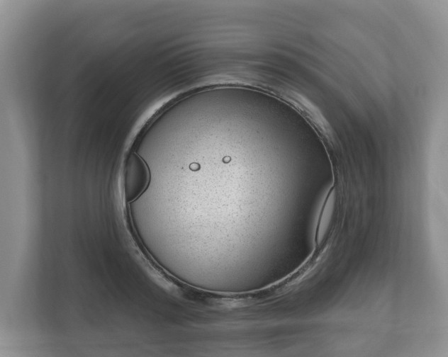 X0000111040796200907021557