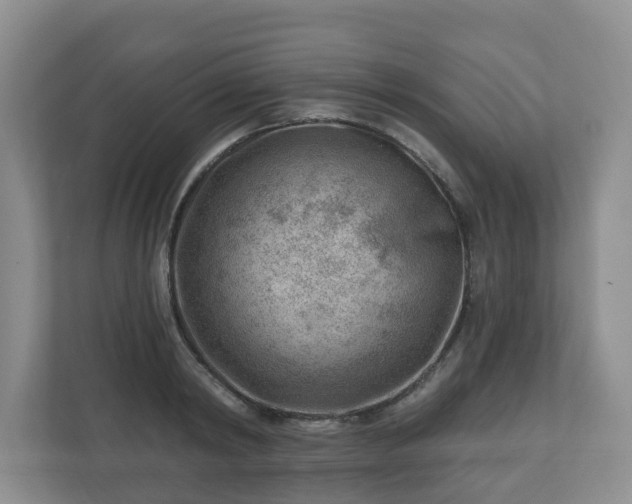 X0000111040798200907021557