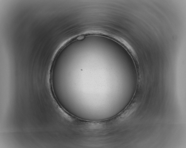 X0000111040799200907021557