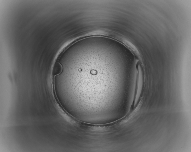 X0000111040800200907021557