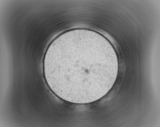 X0000111040807200907021557