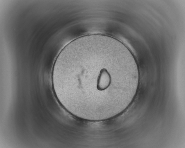 X0000111040810200907021557