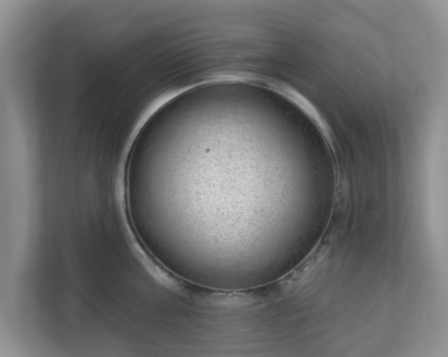 X0000111040811200907021557