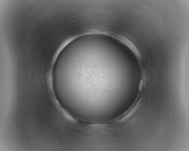 X0000111040812200907021557