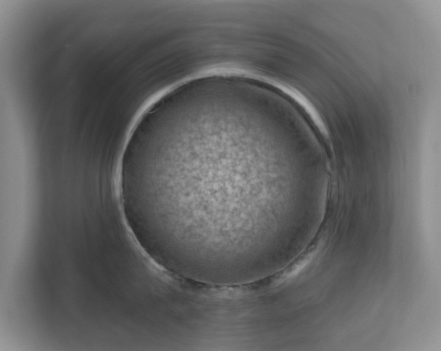 X0000111040815200907021557