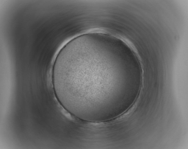 X0000111040816200907021557
