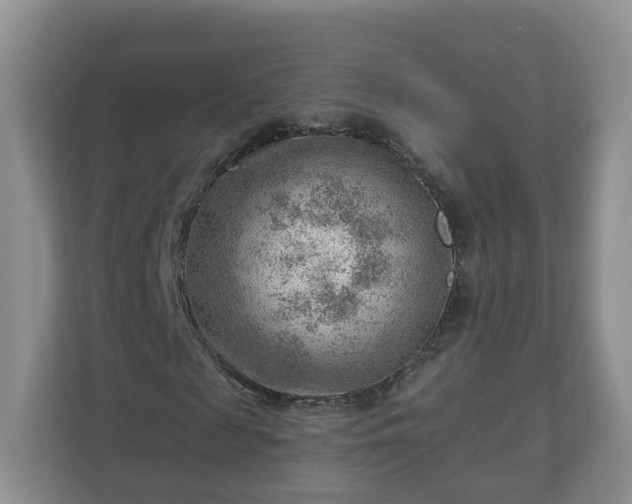 X0000111040817200907021556