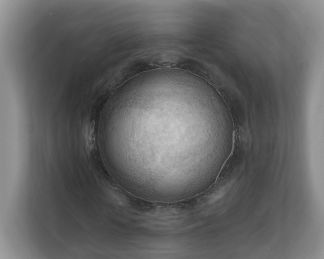 X0000111040818200907021556