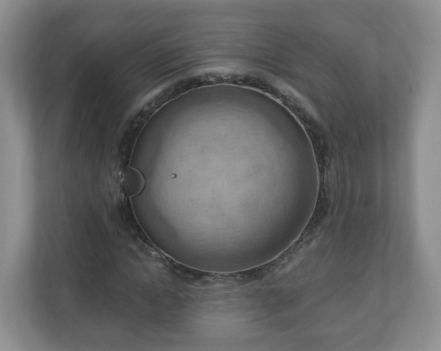 X0000111040822200907021556