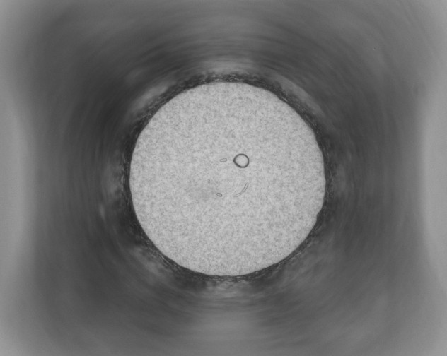 X0000111040824200907021556