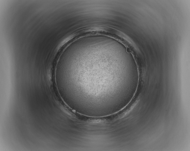 X0000111040826200907021556
