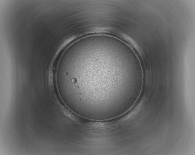 X0000111040827200907021556