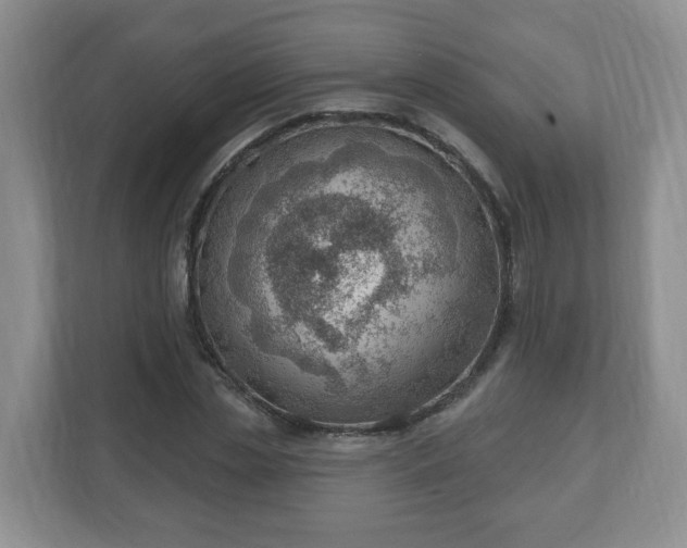 X0000111040829200907021556