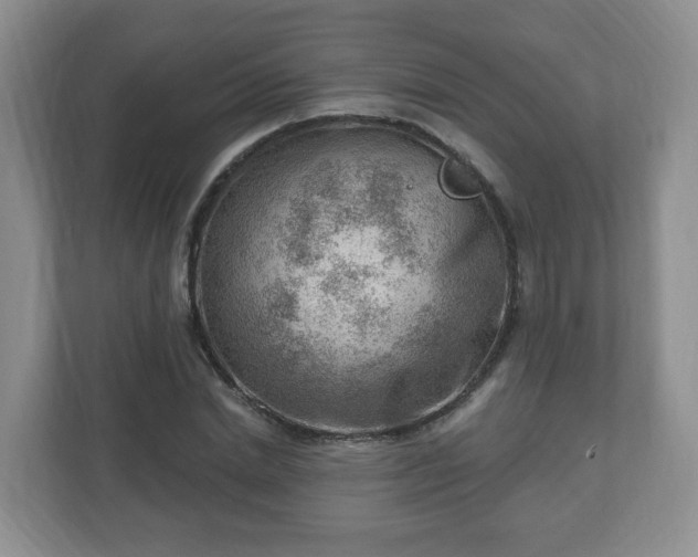 X0000111040830200907021556