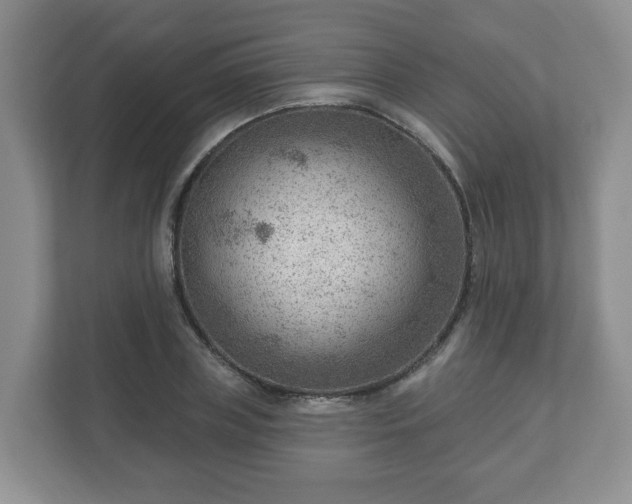 X0000111040835200907021556