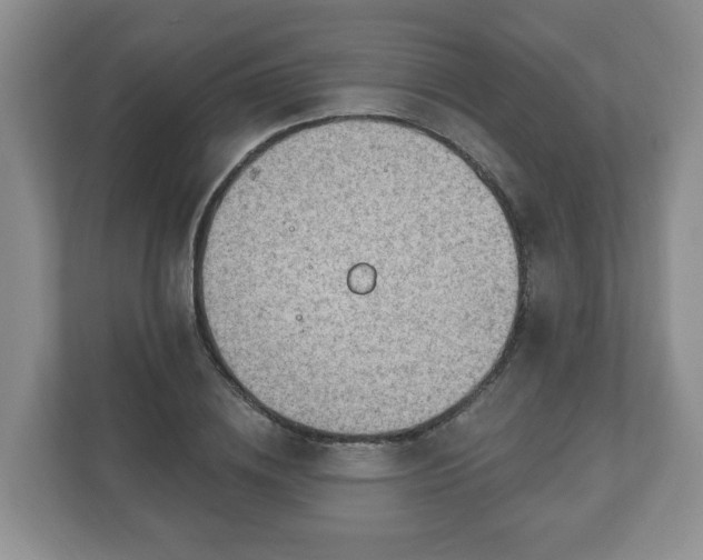 X0000111040836200907021556