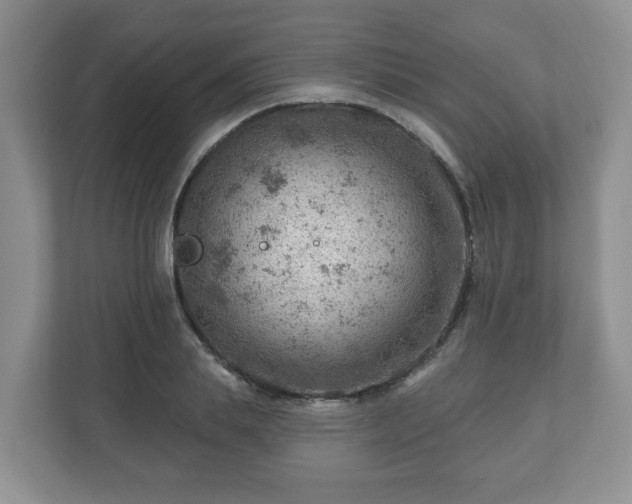 X0000111040839200907021556