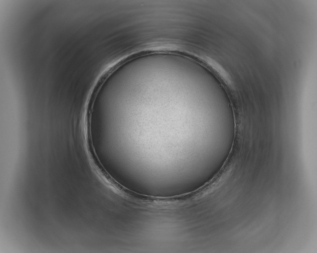 X0000111040840200907021556