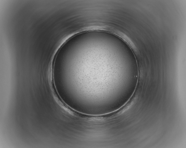 X0000111040844200907021557