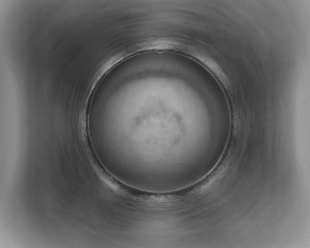 X0000111040850200907021557