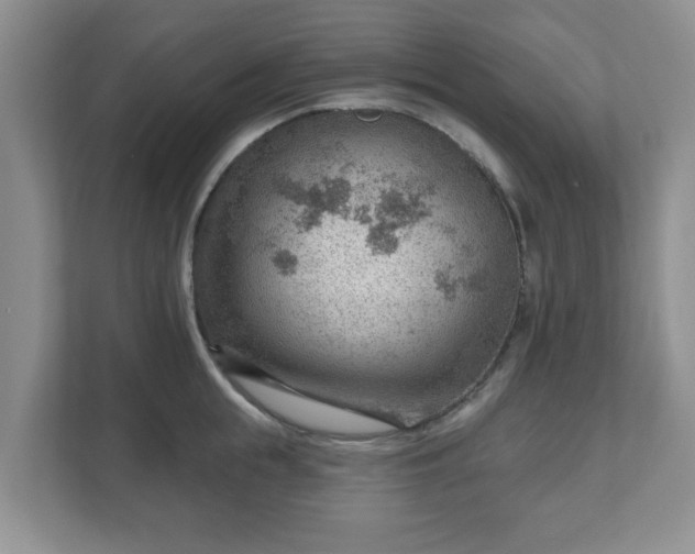 X0000111040855200907021557