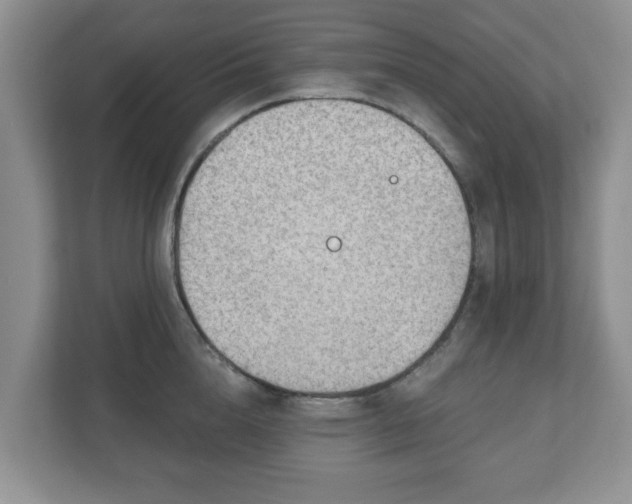 X0000111040856200907021557