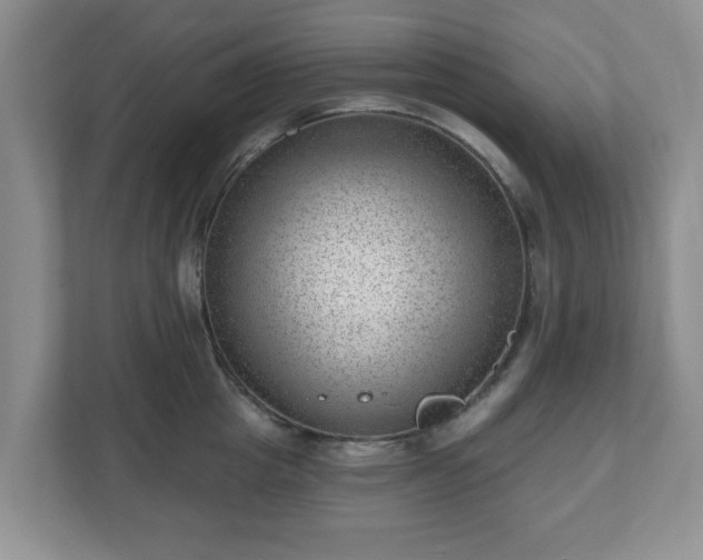 X0000111040857200907021557