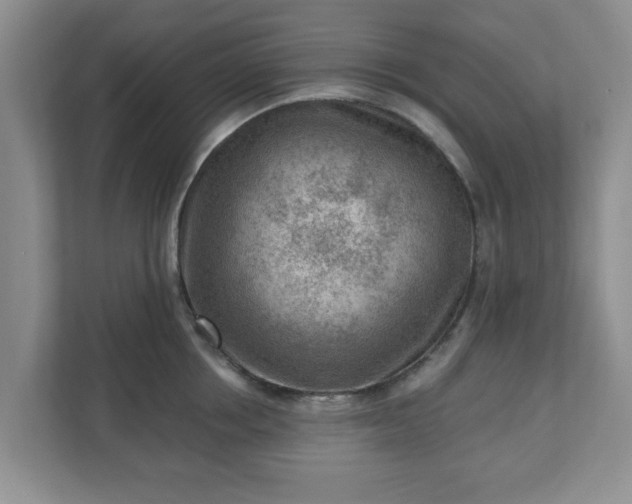 X0000111040858200907021557
