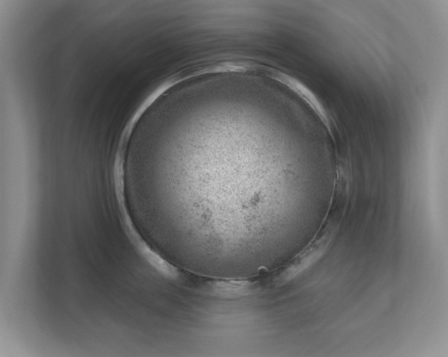 X0000111040859200907021557