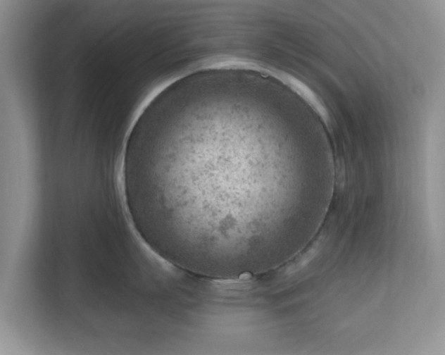 X0000111040863200907021557