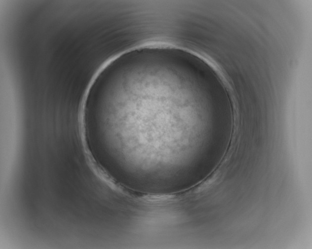 X0000111040864200907021557