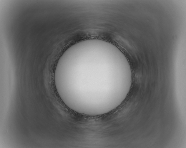 X0000111040865200907021556