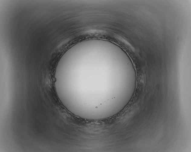 X0000111040869200907021556