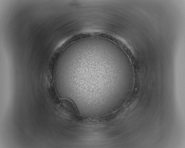 X0000111040871200907021556
