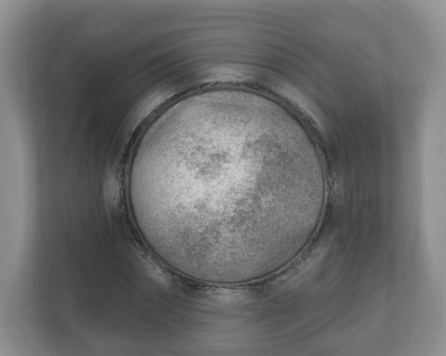 X0000111040874200907021556