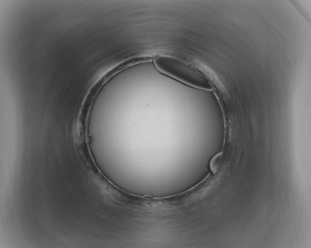 X0000111040876200907021556