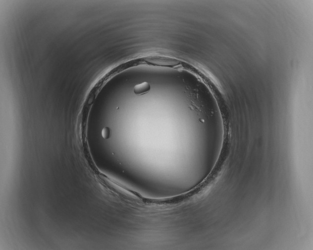 X0000111040877200907021556