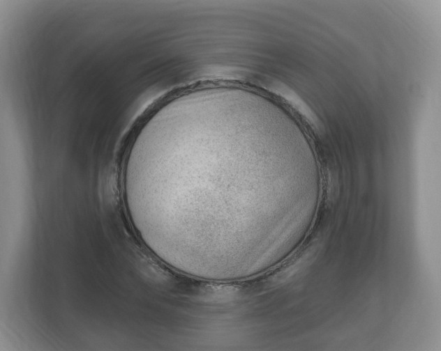 X0000111040878200907021556