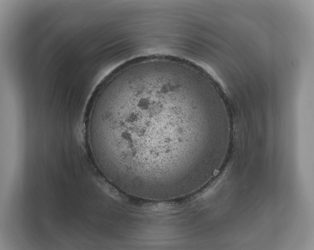 X0000111040879200907021556