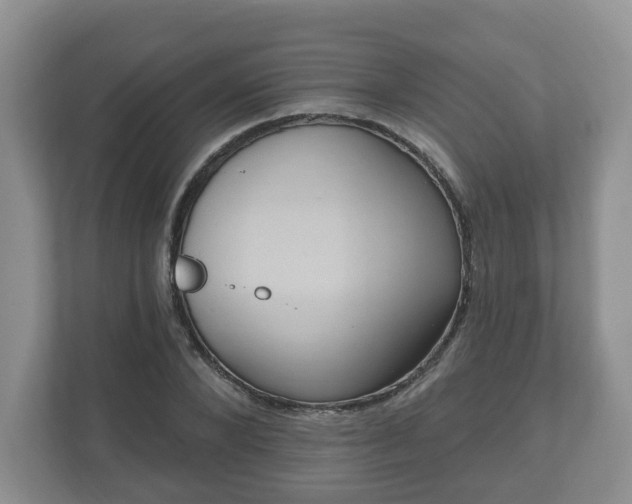 X0000111040880200907021556