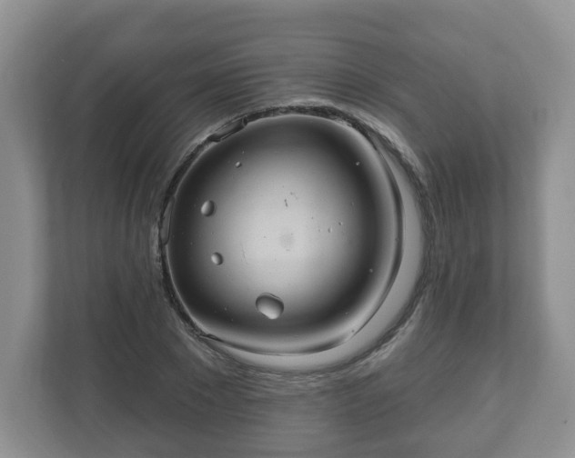X0000111040881200907021556