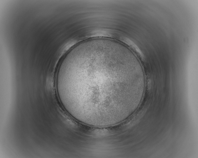 X0000111040882200907021556