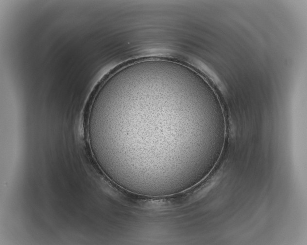 X0000111040883200907021556