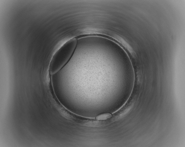 X0000111040885200907021556