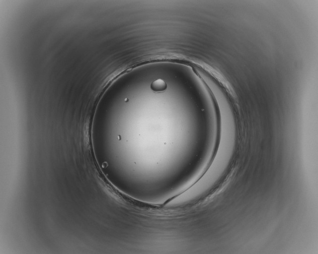 X0000111040889200907021556