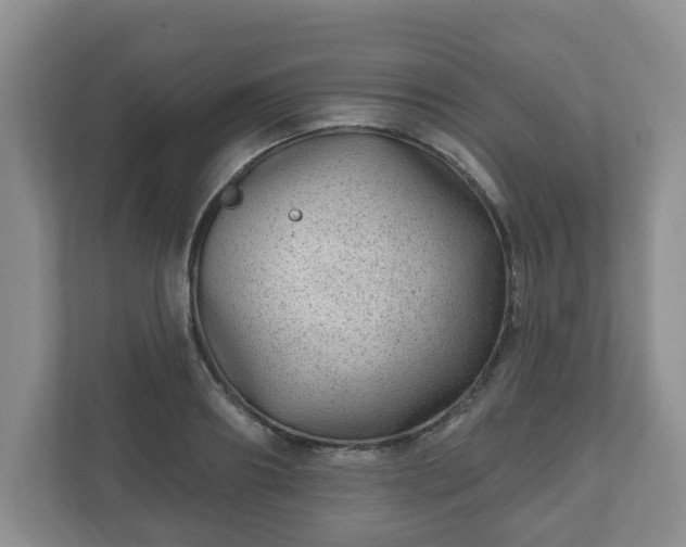 X0000111040890200907021556