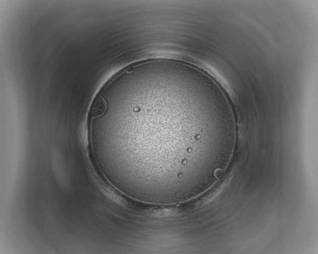 X0000111040891200907021556