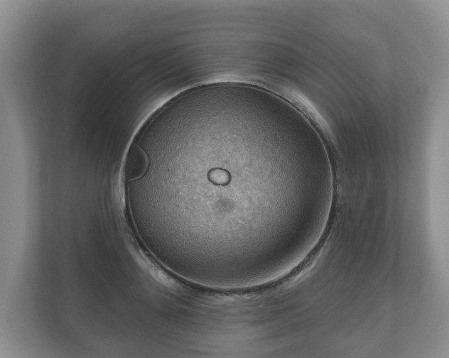 X0000111040892200907021556